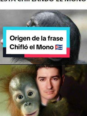 El frío aprieta en Florida 🥶 y por acá Chifla el Mono; pero sabías que esta frase tiene un origen en hechos reales? Esta es la historia detrás de Chifló el Mono #Frío #Tampa #TampaBay #Ahora  Origen de Chiflar el Mono ¿Qué significa Chiflar el Mono? ¿Por qué los cubanos dicen Chiflo el Mono  Frío intenso en floroda a esta hora y seguirá bajando la temperatura para el amanecer. Una tormenta invernal estaria dejando nieve y hielo desde Texas hasta el norte del país pasando por Florida y Georgia. evento de frio intenso para muchos ya asoma en el horizonte, para la semana del 20 al 25 de enero. Nieve en Jacksonville  De nuevo Frío para muchos en Estados Unidos y también Florida pues una masa de aire Ártico se moverá por el centro de los Estados Unidos y llegará hasta Florida. Nieve en New York para navidad Tormenta Invernal en Kentucky  Tormenta Invernal en Kansas Nieve en Louisville para mañana City Hielo en Kansas City  Nieve en Kentucky  Nieve en Philadelphia  Donde cer nieve en Navidad. Nieve en Tampa  Nieve en Florida en Enero Nieve en Houston  Nieve en Texas Ya llegó el frío para muchos mientras otros ya tienen bastante frío aquí en los Estados Unidos dejando temperaturas por debajo del punto de congelación, también bajaran las temperaturas en Cuba y partes de México  Frío en Louisville  Nieve en Florida  Nieve hoy Tallahassee  Jacksonville nieve #Louisville  #Invierno #Nuevosistema  #Cuba #PuertoRico #Chicago #Dallas #TexasFrio #Dominicana #FrenteFrio #Cancun  01/22/2025 PM Navidad 2024 nieve Blanca Navidad Llegó el invierno Frente frio  hacia Cuba Frio Va a Cuba  Frío en Texas frío para Texas Golfo de México ciclones  Lo nuevo del frío  Tempueraturas frías en camino Nuevo frente frío  Mucho frío en Camino Que son los ensembles de los modelos de pronóstico  Tormenta Invernal en Texas #Houston #huracanes #Cuba #Florida #corrientesderesaca #playas  #ciclonestropicales #Florida #Nieve #Louisiana #TormentaInvernal #tiempotropical #temporada  #TormentaTropical #Cuba #Louisiana #Cancun #yucatan #Mexico #Temporada #TropicalWeather #ElTiempo #Pronóstico #Parati  #Cancun  #importante #Tampa #Miami #orlando #CapCut #Frio #HuracanInfo #ElProfeDelTiempo  El Profe del Tiempo #greenscreenvideo 