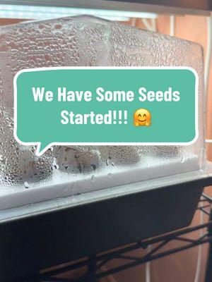 What an amazing time we had planting 140 seeds LIVE with you all on Tuesday! 🌱 If you missed it, don’t worry—you can still join in the fun! Catch the replay on our YouTube channel and watch as we start our favorite cool-season crops. 🎥 Plus, here’s the best part: if you watch after the fact and leave a comment, you’ll be entered to win a FREE 1-year premium Seed to Spoon subscription! Don’t miss your chance to join the fun and win! 💚  #SeedStarting #CoolSeasonCrops #FromSeedToSpoon #GardeningFun #gardening #indoorseedstarting #workshop #garden