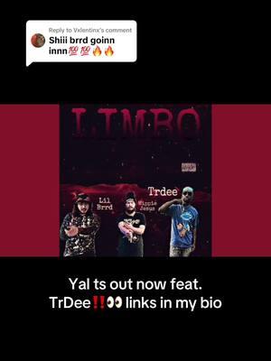 Replying to @Vxlentinx #fypシ #lilbrrd #TrDee #shittyboyz #collab #raptok #rapmusic #fypageシ #like #share #babytron #hippiejesus 