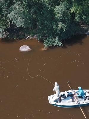 Who’s ready for some Minnesota Smallmouth action?  #textbook