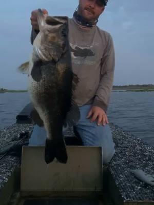 Throw back to my first 13lber!! 💯 #6thsensefishing #waterlandco #thorlithium #finsbraid #vectorhooks #fishing #bassfishing #plinefishing #pline #yolotek #bigbass #bigbassonly #bigbassenergy #aftco #ecoxgear #soundextremebyecoxgear #dobynsrods #fishingislife #fishingtrip #fishingaddict #bassmanrand #reelfloridahammers #bassladykaley 