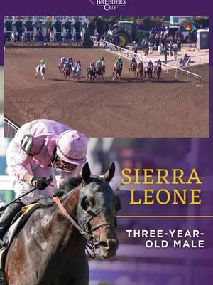 Sierra Leone wins the Eclipse Award for Three-Year-Old Male! Congrats to our 2024 @longines Breeders’ Cup Classic Champion! #EclipseAwards Jockey: Flavien Prat Trainer: Chad C. Brown Owner: Brant, Peter M., Magnier, Mrs. John, Tabor, Michael, Smith, Derrick, Westerberg and Smith, Brook T. Breeder: Debby M. Oxley