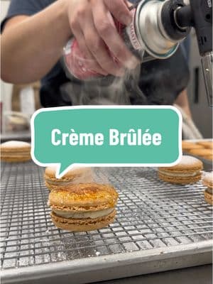 Which Crème Brûlée dessert are you trying first?!  🔥  #pastrychef #cremebrulee #macarons #doughnuts #cake #desserts #SwankDesserts #bakerytiktok #bakeryowner #charlestonbakery #charlestonsc #summerville #frenchpastry 