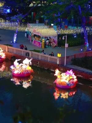 Ever experienced the romance of buying New Year flowers in S China's Guangdong Province? Take a boat ride through Guangzhou's floating flower market, where vibrant blooms fill the air and the festive spirit is everywhere. It's a magical way to kick off the new year! #floatingflowermarket #newyearvibes #Guangdong #hello2025 #festivespirit