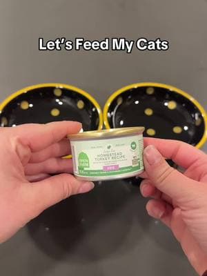 Dinner for Clem & Mango 🍽️ #TikTokShop #pawup #feedmycat #catsoftiktok #cattok #catfood #cateating #cattoppers #asmr 