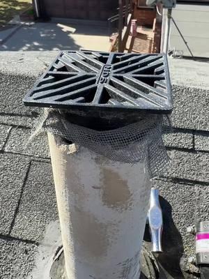 How to rat proof your roof vents like a PRO! #ratproofing #roof #roofvent #homeownertips #roofrats #twinhomeexperts 