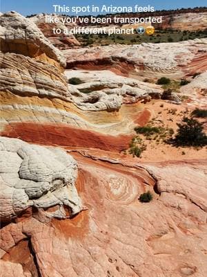 White Pocket, AZ: Where reality meets the surreal. This hidden gem in the desert is like landing on another planet - a kaleidoscope of colors and shapes that defy imagination. Embrace the extraterrestrial vibes and channel your inner space explorer.  #whitepocket #whitepocketarizona #OutdoorLife #TravelPhotography #GetOutside #RoamThePlanet #HikingAdventures #WildernessCulture #BeautifulDestinations #Mountainscape #travelgram #NaturePhotography #ExploreNature #OffTheBeatenPath #getoutside #Travellnspiration #OutdoorExploration #marsonearth #jurrasicperiod #dinosaurs #utaharizonatrip #aliens #kanabutah #kanabtourcompany #aliensexist #abrakanabra #thingstodoinutah #southernutah 