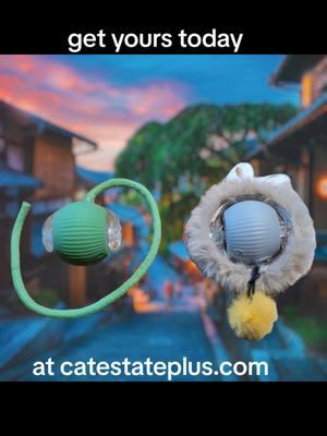 If Nimbus is any indication, get one of these for your cat! The rolling ball with fur wears him out!! It's the perfect toy before I go to bed, so he doesn't bounce off the walls.  #rollingball #cattoys #catproducts #catapproved #SmallBusiness #disabledowned #womenowned #entrepreneur 