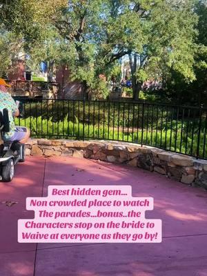 Stops on the bridge…sorry for the typo #disney #disneyworld #animalkingdom #magickingdom #hollywoodstudios #epcot #disneyparks #disneytips #disneycontent #disneycontentcreator #distok #disneymom #awishisadream #disneymyway #disneyvacation #DisneyMagic #MagicalMemories #DisneyAdventures #DreamsComeTrue #HappiestPlaceOnEarth #MagicKingdom #DisneyMagicMoments #DisneyFamilyFun #DisneyWorldWonders #EpcotExplorers #MagicOfDisney 