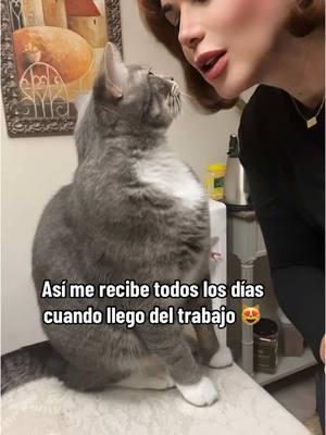 Mi amor #pepper #😻 #migatito #parati #mascota #animales #gatico #amorpeludo #michi #puroamor #parati #smp #parati #paratodos #coqueta 