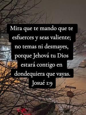 DIOS TE DICE NO TEMAS YO ESTOY CONTIGO 🙏 #Jesus502  #Dios  #Oración  #Mensajeparati  #paratiiiiiiiiiiiiiiiiiiiiiiiiiiiiiii  #Reflexión  #predicascristianas  #Diosesfiel  #ConfiaenDios  #Diosesbueno  #Diosteama  #Diostebendiga  #Amén 