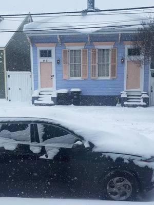 Cute snow things from the most magical day in New Orleans EVERRRRR!!! #sneaux #snola #snow #neworleans 