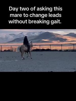 I love when horses love their job. This horse didnt like her job, even a few months back. Now she meets me at the gate every day, excited to go to work. I accidentally found out that she can change leads last time I rode her. Now shes doing it on que. #horsemanship #horsesoftiktok #horsetraining #horsetrainersoftiktok #coltstarting #bzthorsetraining #bzthorses 