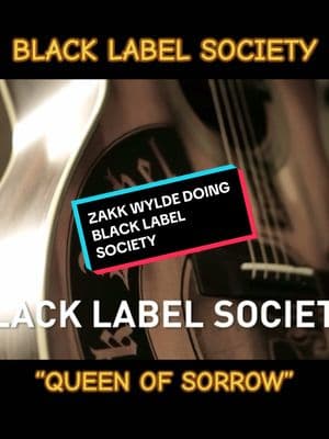 #zakkwylde  #blacklabelsociety #guitar #acoustic