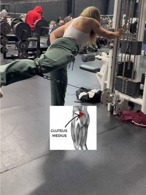 Upper Glute aka Glute Medius: Standing side glute cable abduction #glutesworkout #gluteworkout #glutes #cableworkout #bootybuilder #bodybuildingtips #FitTok #GymTok #glutegains #glutegrowth #onlinecoach #musclebuilding 