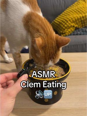 Clem approved 👍🏼🍊 #feedmycat #cattoppers #catfood #cateating #asmr #orangecat #catsoftiktok #fyp 