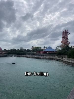 I miss#fyp #blowup #beach #makemefanous #Summer #ocean Part 2 | calling this place home is a dream. #manifest your #dreams #fyp: #oceantherapy #ocean #sunsetaday #beachtok #goldenhour #aesthetic #foryou #sunset #cloudy #sunsets #chasingsunsets #Home #oceanview #florida #sky #trending #viralvideo #creatorsearchinsights #sunset #sunrise #waves #beachlife #Summer #beach #summervibes #sunsetlover #beachsunset #peaceful #travel #relaxing #dark #chill #ocean #calm #sunsets #fyp #foryoupage