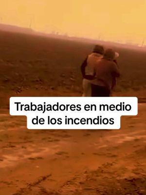 En medio de los incendios en California ponen a trabajar a los trabajadores del campo en el condado de Ventura. #venturacounty #trabajadoresdelcampo #campesinos #incendios #ultimahora #california #viralvideo 