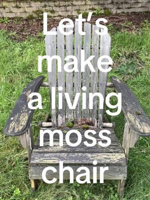 Making a living moss chair with wildflower seeds #mosschair #livingmoss #mossart #DIY