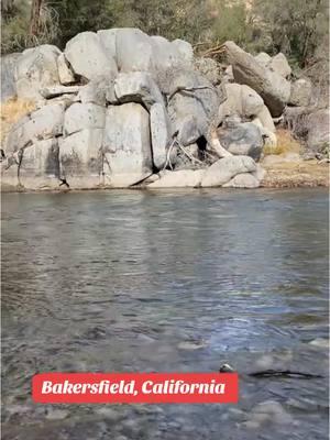 Encontramos mucha pirita en el Río de Kern. Aguas termales en Bakersfield, California. Remington Hot Springs.  #aguastermales #remingtonhotspring #bakersfieldcalifornia #kernriver #riokern #swimmingriver #aguascurativas #pirita #pyrite #viajando_ala_naturaleza #viajesnaturaleza1 #kerncounty #kerncanyon #road178 #Recuerdos 