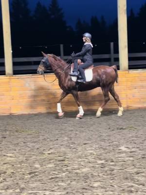 First Sidesaddle ride for these two! So fun! 💕🦄💕 #horse #sidesaddle #sidesaddlehorse #horse #hackney #halfarab #showhorse #martini #shakennotstirred #vintage #ride #rare #rareasthetic #Love #hearthorse #saddle #saddleseat #equestrian 