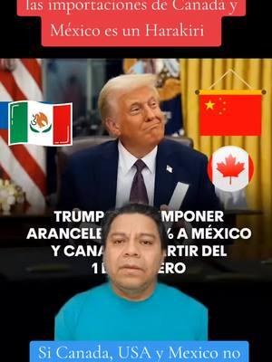 Imposición de un arancel del 25% a las importaciones de Canadá y México es un Harakiri  #tariff #arancel #mexico #canada_life🇨🇦 #claudiasheimbaum #economy #freetrade #china #trump #donaldtrump #northamerica #america #maga #money #inflation #news #noticias #mexico🇲🇽 #mexicanos #american #harakiri #nobrain #donald 