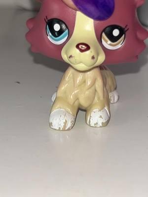 I LOVE her😭😭❤️‍🩹 buy now, on TikTok shop!!!!! #lps #lpstiktok #lpspopular #littlestpetshop #littlestpetshoptiktok #tiktok #TikTokShop #affilaitemarketing #affiliate #affilatemarketingforbeginners #Love #buynow #TikTokShop #tiktokmademebuyit #fyp #fypシ゚viral #fypシ #fypシ #viralvideo #loveit 