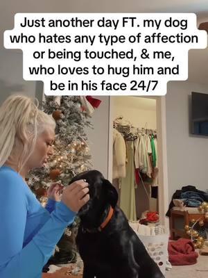 not a fan of hugs, but we’ve known eachother for 5 years so he lets it slide  • • • • #blacklab #labsofinstagram #awkwarddog #labradorretriever #blacklabsoftiktok #labsoftiktok #puppy #dog 