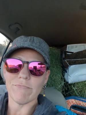 #Horsegirl #horsegirlvibes #equestrian #equestrianlife #subaruimpreza #subaru #subielife #subie #subiegang #feedstore #alfalfa #3stringbales #horsefeed #grainbags #bluebonnetfeeds