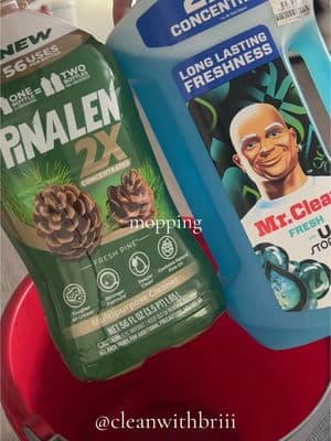 pinalen & mr clean unstoppables upstairs mopping 🌲💙  #asmr #CleanTok #cleaningtiktok #sudsy #cleaning #cleaningmotivation #pinalen #viralvideo #mopping #waterdump #moppingfloors 