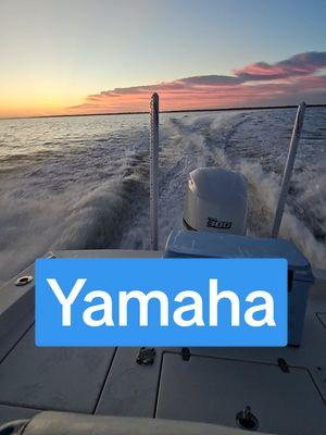 Best Good Morning I could get! 😍  LET'S Gooo!  #fishing #fishinglife #fishingtiktoks #fishingforbeginners #fishingtips #fishingcharter #yamahaoutboards #pathfinderboats #fishingtok #goodmorning 