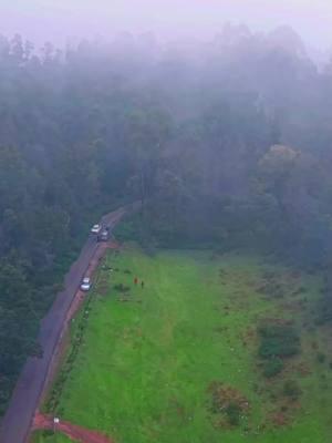 Kookal, Kodaikanal... 😍😍👌👌💞💞🥰🥰❤❤❤#noufal_kl10 #സഞ്ചാരി #യാത്രയെ_പ്രണയിച്ചവൻ #മലപ്പുറംകാരൻ #godsowncountry #kerala #nature #പ്രകൃതി #yathra #traveling #travel #bullet #royalenfield #malappuram #ksa #jeddah #dxb #dubai #mallu #usa #india #indian #uae #kookal #kodaikanal #tamil #tamilnadu 