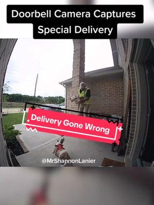 Who's at fault here? #Delivery #Fail #kid w/ #puppy & #Deliveryman w/ #fearofDogs #parents #dog #attack #LittleLaniers FYI: everyone is ok now;)