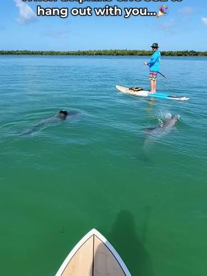 There is no feeling like it! 🥳 Dolphins, wild and free as nature intended...😻🙌🥰 I am super grateful for these memories. 🙏 . . . . . . . . #wildandfree #dolphin #dontbuyaticket  #paddleboarding #sup #paradise #ocean #gulf #naples #florida #beach #gulfcoast #Outdoors #nature #wildlife #floridaexplored #roamflorida #thesunshinestate #fitness #getoutside #lovefldolphins #islesofcapri 