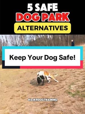 🚫❌I never recommend dog parks to anyone.  1. You never know the temperament of the dogs their and what their triggers are  2. Not enough people are there that know how to de-escalate potential problems or stop a fight properly if they occur  3. Too much excitement. This leads to unpredictable behavior in even the most friendliest of dogs.  4. Unvaccinated dogs and parasites 🦠  5. Injuries from too much rough playing ❇️There are many different ways to still physically and mentally stimulate your dog and socialize them with other dogs in a more safe way. #dogtrainingtips #dogtrainer #atlantadogtrainer #dogpark #obediencetraining #basicobedience #protectiontraining #dogescape #keepyourdogsafe 