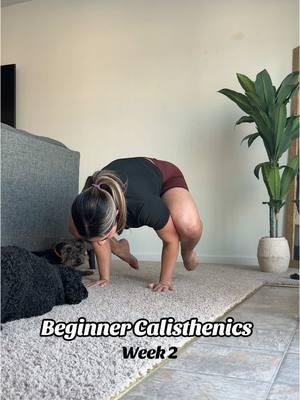 Not sure if this really counts as a crow pose… 🧐 but still proud nonetheless. Also, can’t seem to get into a handstand from a crouched position. Help? 🫶🏼  #beginnercalisthenics #calisthenics #calisthenicsgirls #calisthenicsbeginner #calisthenicschallenge #crowpose #calisthenicsforbeginners 