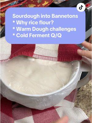 Shaping sourdough for the final cold ferment and answering a few bread questions.  🥖 #inmykitchen #sourdoughclub #sourdoughtok #sourdough #cottagecore #homemadebread #riceflour #shapingbread #coldfermentation #homemadebread #bread #homemaker #guthealth 