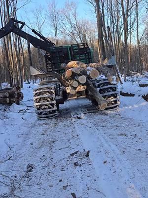 #cold #coldweather #loggerlife #logging #fyp #boss #830ctimberpro #17below 