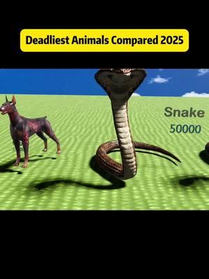 Deadliest Animals Compared 2025 #comparison #deadliest #animals #compared #explore #fyp 