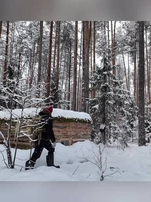 Trapped in a Log Cabin - My wild encounter with wild boar and wolf #betelhem #bushcrafting #bushcraftsurvival #bushcraftshelter #snowsurvival #wintersurvival #shelterlife #outdoorlife 