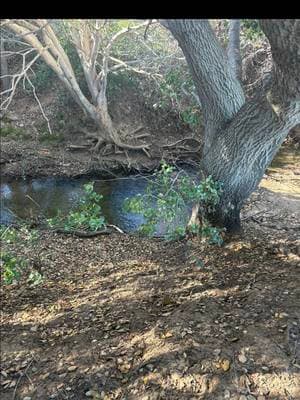 #nature#arroyo#aguacorriendo#lake#