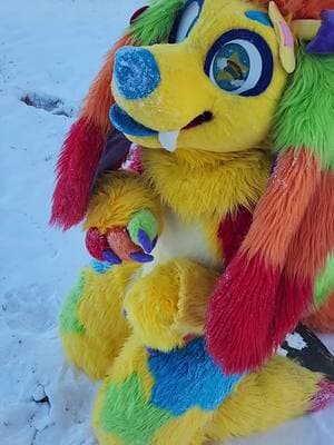 i did in fact... eat a lot of snow 🐶🌈🐶 snow in the south! i couldn't resist! . . . #snow #snowstorm #snowinthesouth #southernsnowstorm #snowonthebeach #furry #furryfandom #furrytiktok #furryfyp #fursuit #fursuiter #fursuitmaker #fursuiting #fursuitfypage #fursuitfypage #fyp #fypシ #fypage 