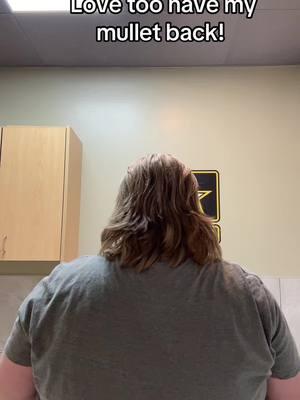 #mullet #mulletszn #fyp #single #mulletdaddy 