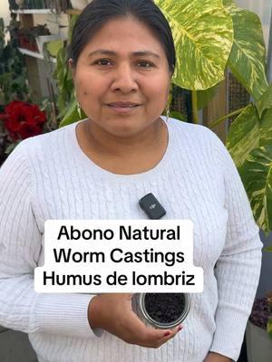 Abono Natural Humus de lombriz Worm castings#plantasdeinterior #coronasdecristo #cactus #ivetsuculentasymas 