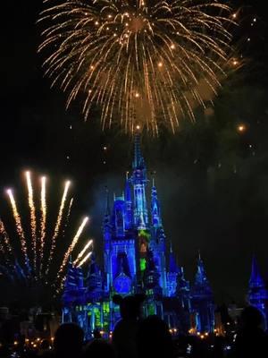 #disney #disneyworld #disney50thanniversary #florida #fireworks #CapCut 