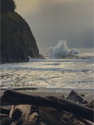 How about some? KingTides #fyp #foryoupage #piecesoforegon #foryou #tiktok #pnw #driftwood #waves #oceanview #oregon 