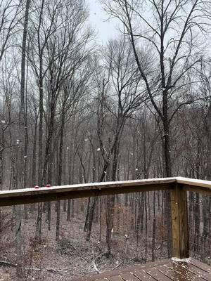 Snowfall Friday. ❄️ #snow #snowfall #lakecumberland #kentucky #snowglobe 