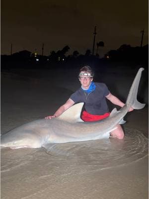 MASSIVE Bull Shark Caught Off Public Jetty ⁉️  Used my @RiptideTackle Shark Leader to catch this giant ‼️  #thefishermeng #fishing #shark #sharkfishing #beachlife #sunrise #lbsf #landbasedsharkfishing #blacktip #blacktipshark #hammerhead #floridafishing #bigshark #sharkattack #beachsharkfishing #floridasharkfishing #floridasharks #bullshark #hammerheadshark #westpalmbeach #swellpro #swellprodrone #sportfishing #landbasedsharkfishing #beach #massiveshark #USA #american #blacktip #florida #sharkattack #penn 