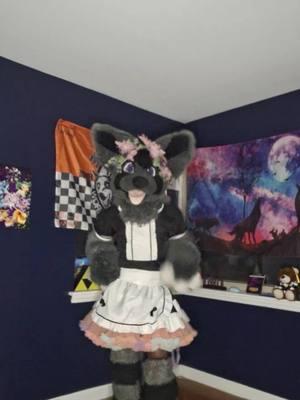 This is my strategy for Fursuit Friday  #fursuitfriday #fursuitdance #furrydance #furrymaid #furries #furrytiktok #furriesoftiktok #furrytiktok #furriesoftiktok 