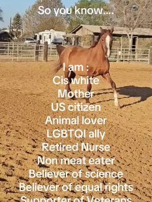 #horsetok #veteran #lgbtq🏳️‍🌈 #transrights #animals #whitewoman #equalrights #mother #womanover50  #veggies #retirednurse #nurse #fyf #fyp #safespace 